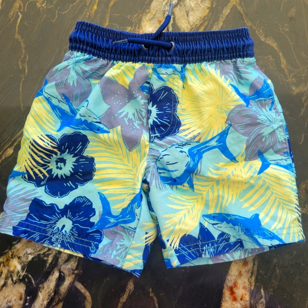 Toddler Boys Size 3t Swim Trunks (2 Pairs Available)